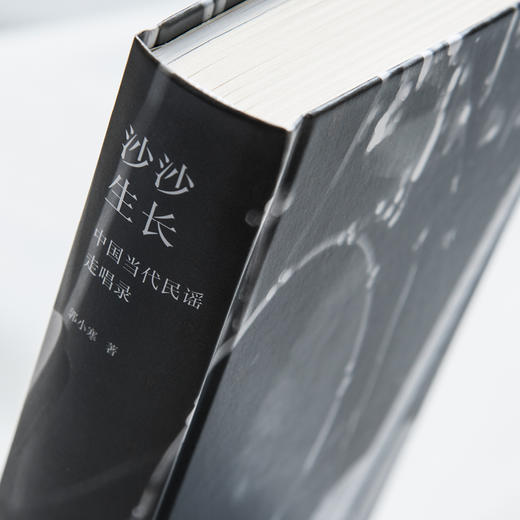 沙沙生长:中国当代民谣走唱录 郭小寒 商品图14