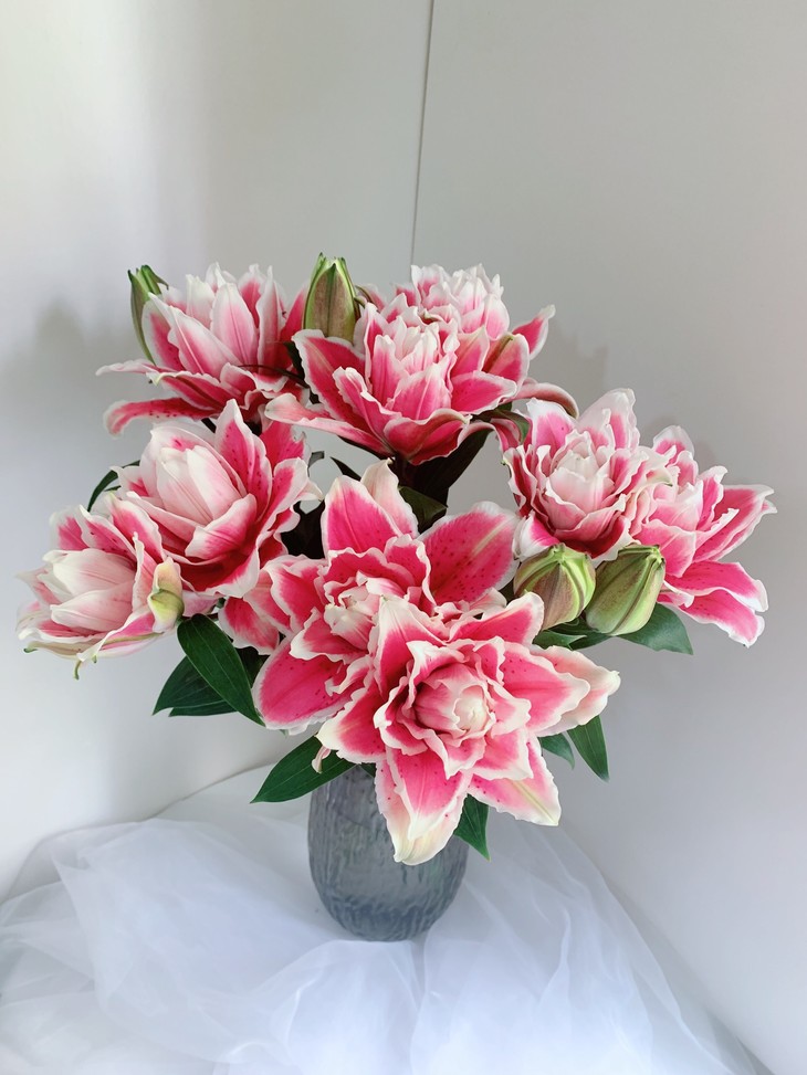 火星之恋重瓣百合12朵/20朵 冷链包邮 - 拉芙鲜花