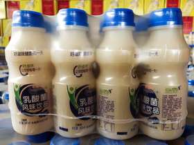 乳酸菌1*12瓶（0402465）