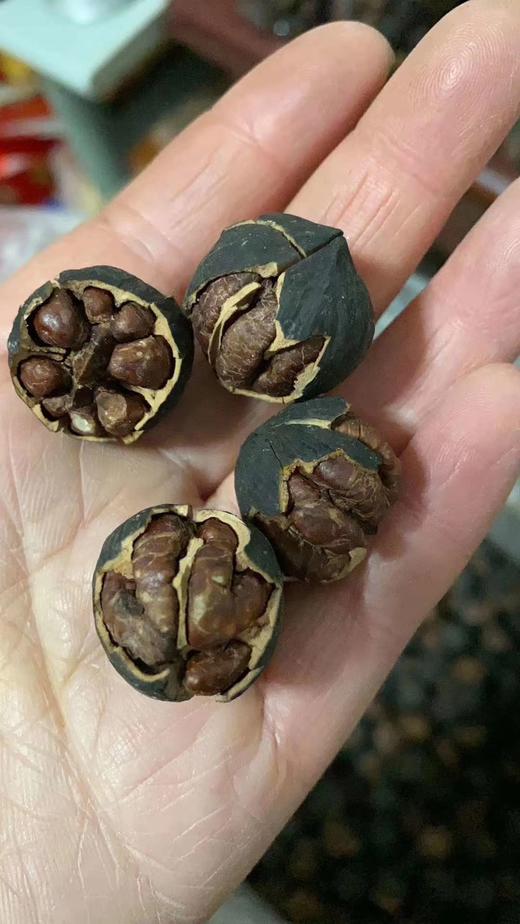 临安山核桃 商品图3