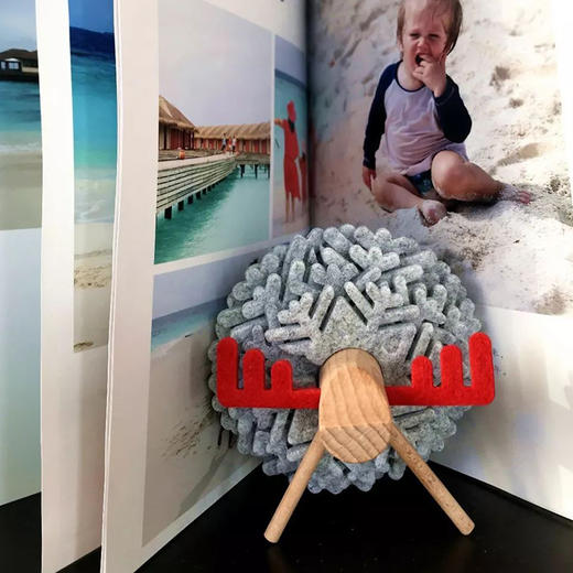 好评免费领取旅行纪念相册（包邮哟） 商品图2