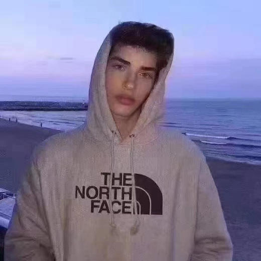 ¥450到手🇺🇸🉐️North Face 北脸/北面 男士卫衣 商品图4