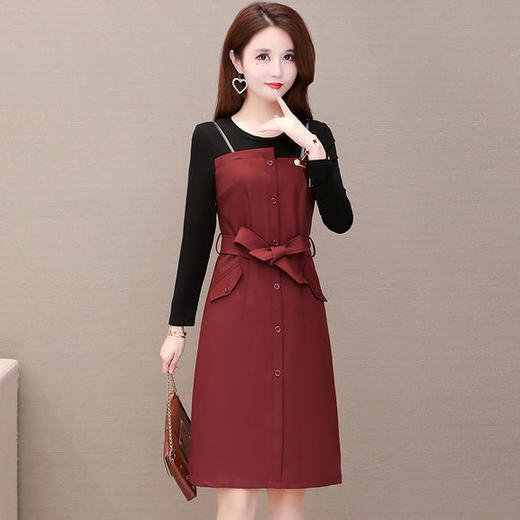 YW-JTF2830气质减龄收腰时尚长袖连衣裙 商品图3