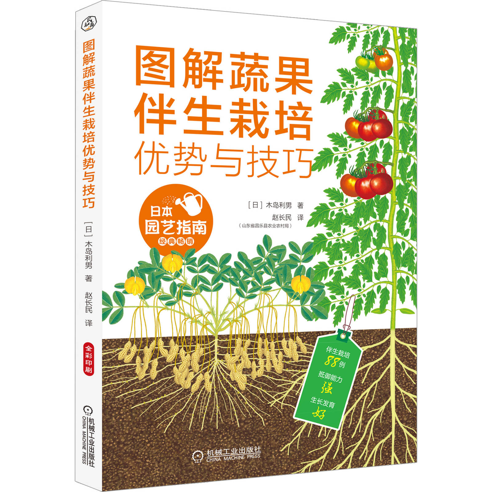 图解蔬果伴生栽培优势与技巧