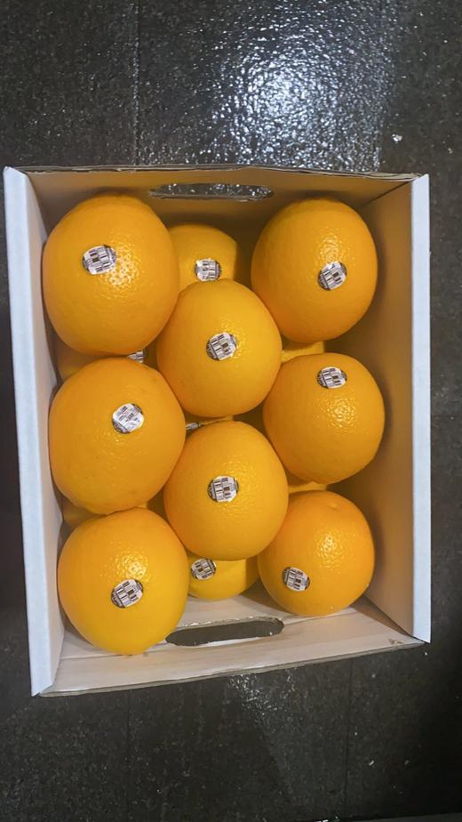 美国进口新奇士脐橙