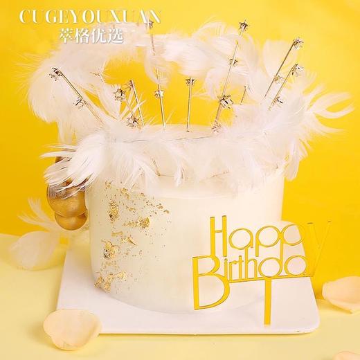 新品|梦幻羽毛 商品图0