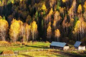 寻找北疆之美 新疆九天八晚的旅行攻略