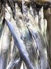 新鲜舟山小眼带鱼（5斤/箱）单条长60-65cm 中段宽4-5cm 商品缩略图2