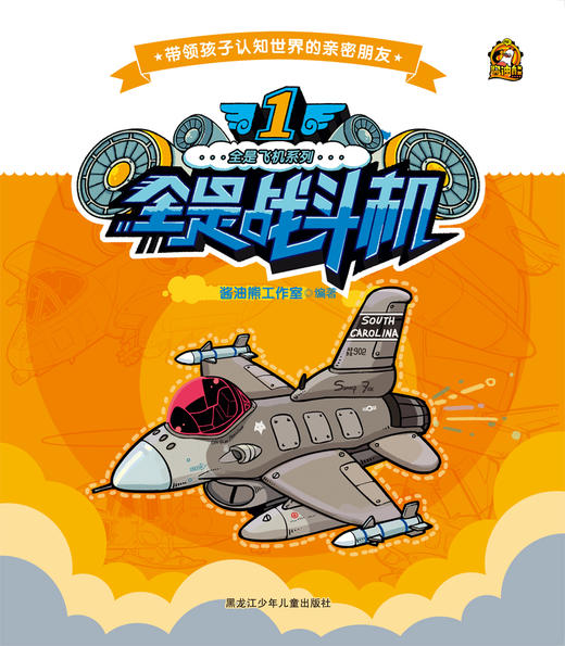 全是飞机系列 1全是战斗机 商品图0
