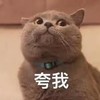 100000 商品缩略图0