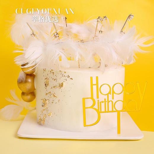 新品|梦幻羽毛 商品图2