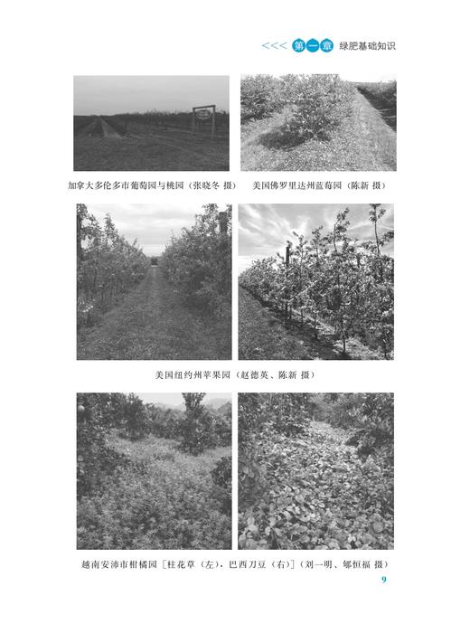 绿肥作物种植与利用技术有问必答（插图版） 商品图2