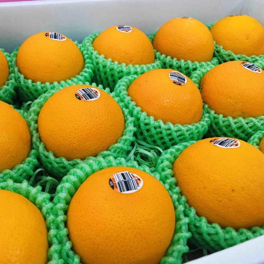 澳洲阳光甜橙非常嫩化渣橙子果皮颜色偏橙红色肉质细嫩汁水丰润鲜甜橙
