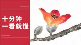 杨永权老师说广州市市花木棉花工笔画勾线平涂画法详解