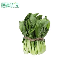 小白菜苗 约250g