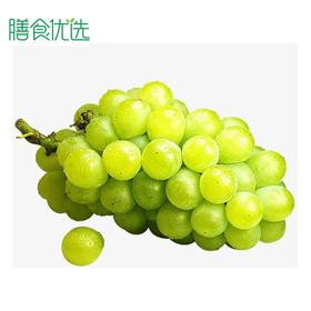 牛奶葡萄 约500g