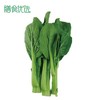 菜心苗 约250g 商品缩略图0