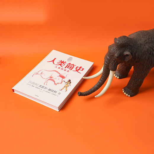 【10月官微重点书单】人类简史（知识漫画）：人类的诞生[尤瓦尔·赫拉利] 中信出版社 改编自全球畅销书《人类简史：从动物到上帝》 正版 商品图9