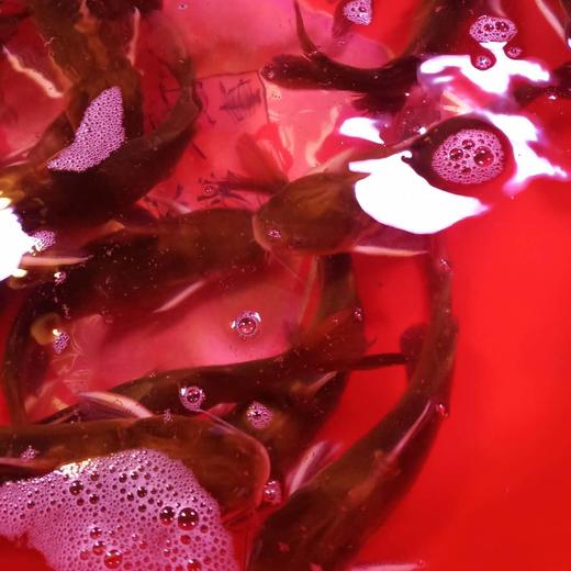 黄骨鱼 商品图1