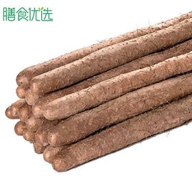 淮山药（粗山药） 约450g