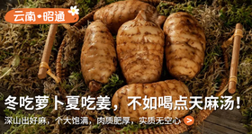 传承千年的养生“奇珍”，秋冬吃它祛风抗寒补肝肾，煲汤一口鲜掉魂！ 