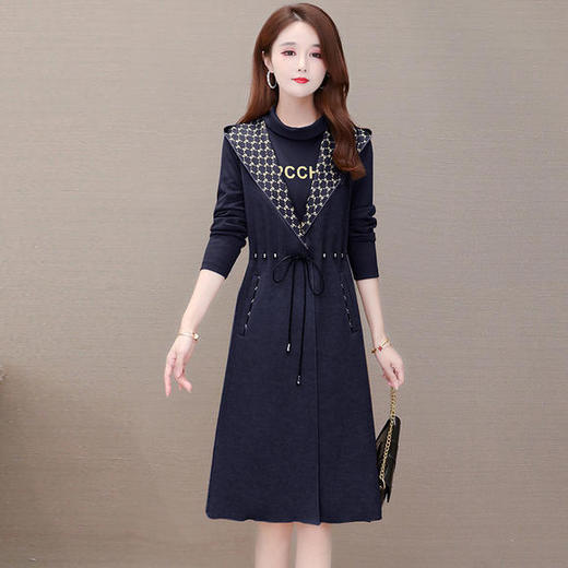 YWE-ARY20B37时尚两件套装大码连帽马甲连衣裙 商品图1