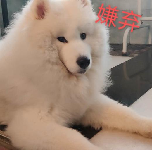 付款减库存 商品图0