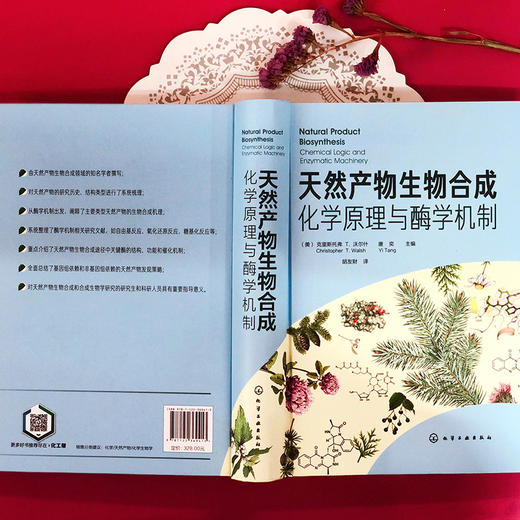 天然产物生物合成：化学原理与酶学机制 商品图5