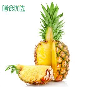 削好的菠萝 约0.9-1kg1个