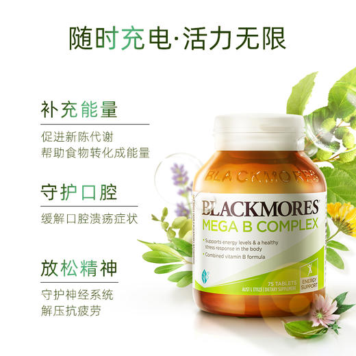 BLACKMORES澳佳宝高能复合维生素B族75粒 焕发能量 商品图1