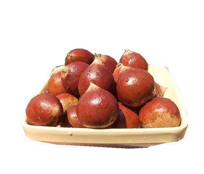 福建锥形板栗750g±50g