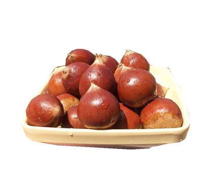 福建锥形板栗750g±50g 商品图0