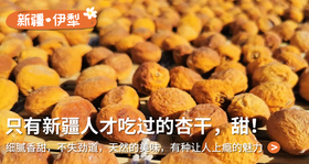  长得这么丑，却有人愿意为它买单！来自新疆的树上杏干，靠味道打动了无数吃货~ 