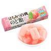 日本Nobel诺贝尔润喉糖42g 商品缩略图0