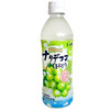 日本三佳丽椰果白葡萄水果饮料 商品缩略图0