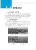 绿肥作物种植与利用技术有问必答（插图版） 商品缩略图1