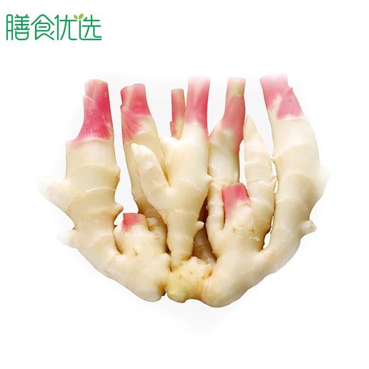 仔姜（板姜） 约100g 商品图0