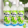 日本三佳丽椰果白葡萄水果饮料 商品缩略图1