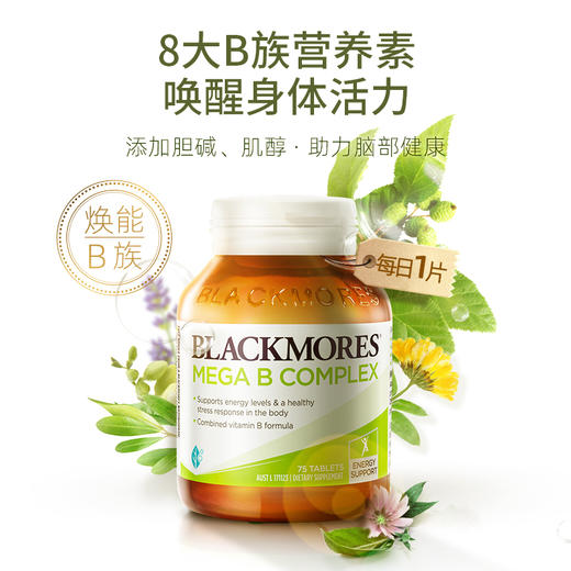 BLACKMORES澳佳宝高能复合维生素B族75粒 焕发能量 商品图0