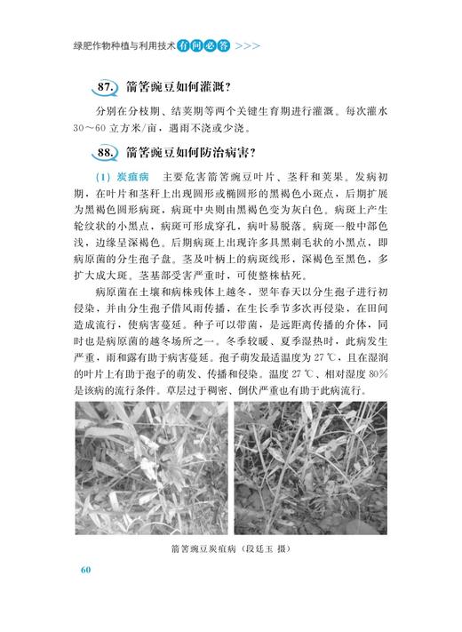 绿肥作物种植与利用技术有问必答（插图版） 商品图5