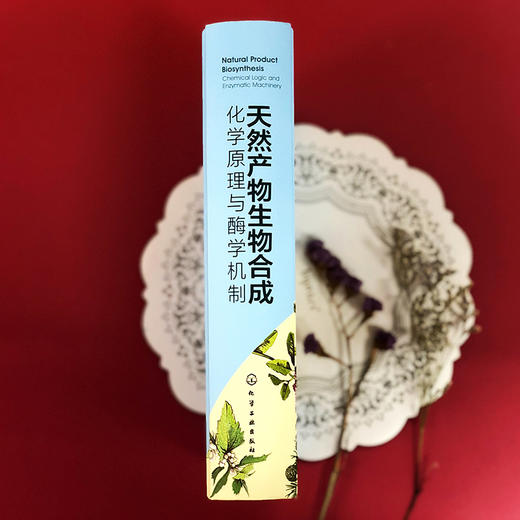 天然产物生物合成：化学原理与酶学机制 商品图6