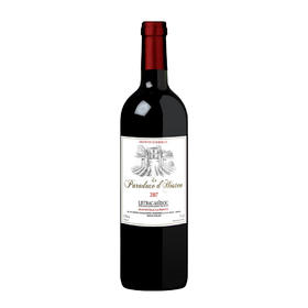 枫卡斯霍斯城堡-悖论红葡萄酒Le Paradoxe d'Hosten  750ml