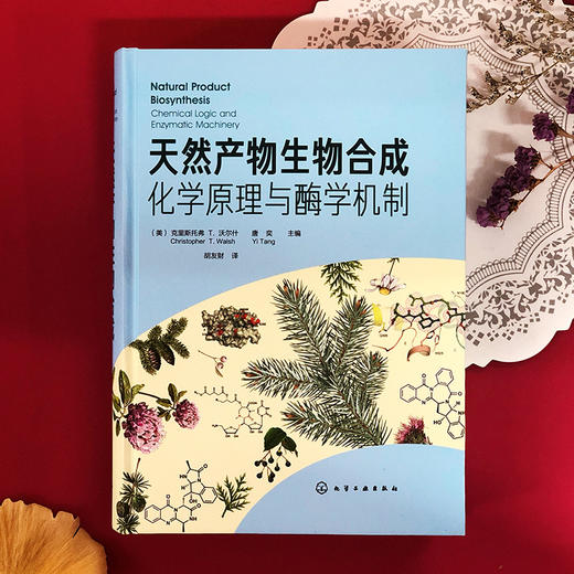 天然产物生物合成：化学原理与酶学机制 商品图1