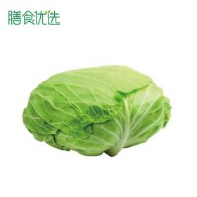 卷心菜（莲花白） 约1200g