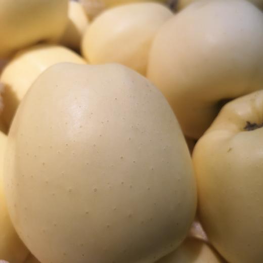 黄苹果 商品图0