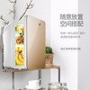 SAST 12L小冰箱迷你冰箱小型微型宿舍车载家两用母乳水果多用功能 商品缩略图4