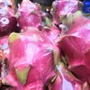 白心火龙果 商品缩略图0