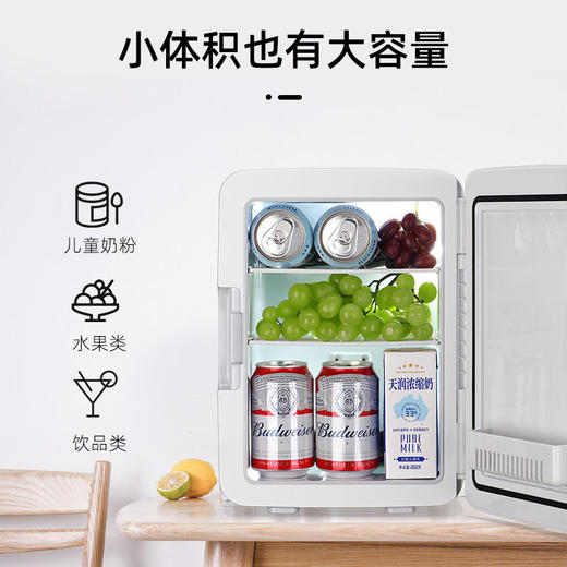 SAST 12L小冰箱迷你冰箱小型微型宿舍车载家两用母乳水果多用功能 商品图6