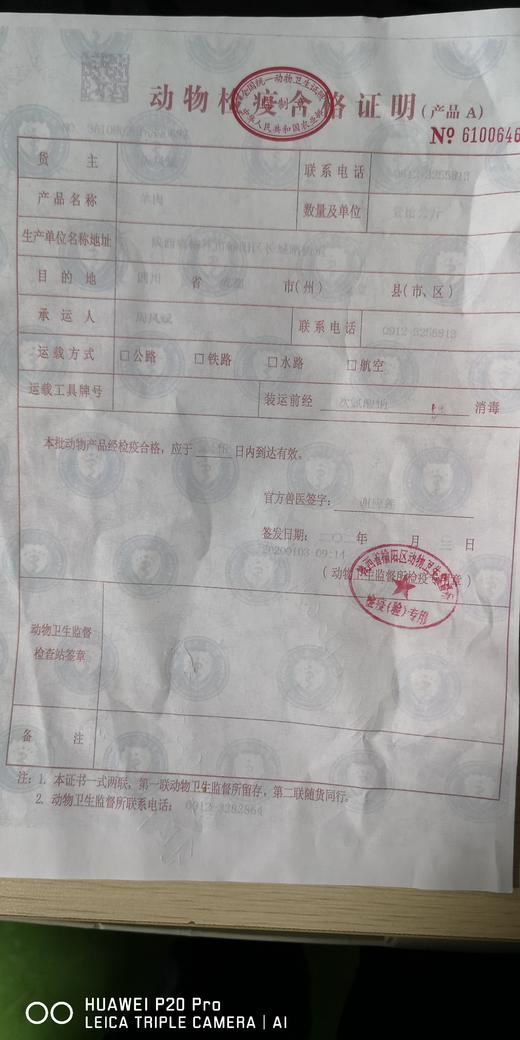 王二妮上山羊至尊8斤 商品图1