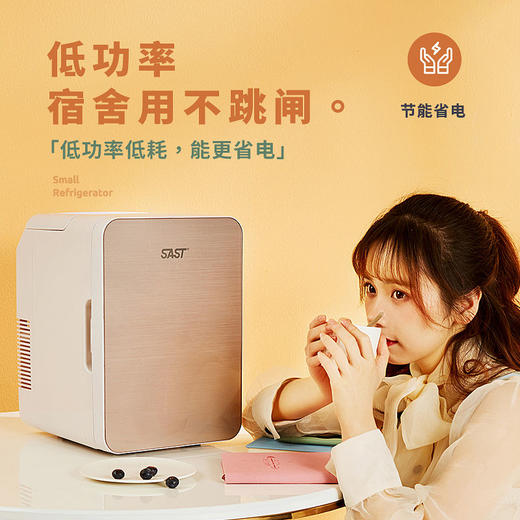 SAST 12L小冰箱迷你冰箱小型微型宿舍车载家两用母乳水果多用功能 商品图0